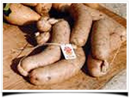 Salampatata del Canavese