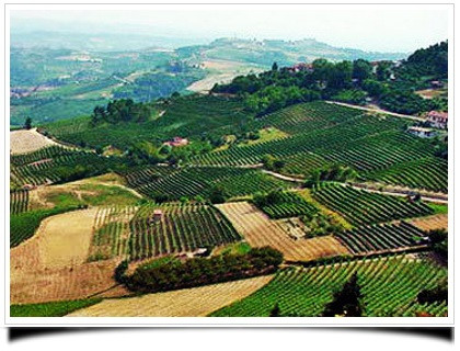 I vini del Canavese