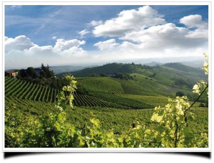 I vini della Collina Torinese