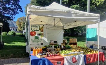 MERCATO DEL PANIERE di TORINO – GIARDINI SAMBUY