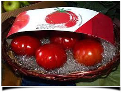Pomodoro Costoluto di Cambiano